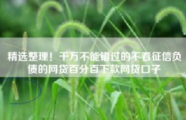 精选整理！千万不能错过的不看征信负债的网贷百分百下款网贷口子