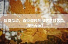 网贷盘点，直接借钱到微信贷款名单，值得关注！