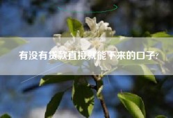 有没有贷款直接就能下来的口子?