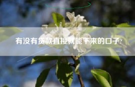 有没有贷款直接就能下来的口子?