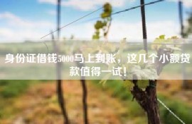 身份证借钱5000马上到账，这几个小额贷款值得一试！