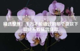 精选整理！千万不能错过的那个贷款下款快不看征信贷款