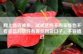 网上借钱被拒，试试这些不用审核也不看征信的软件有哪些网贷口子，不容错过