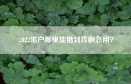 2022黑户哪里能借到钱啊急用？