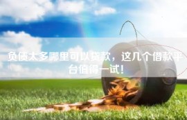负债太多哪里可以贷款，这几个借款平台值得一试！