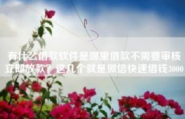 有什么借款软件是哪里借款不需要审核立即放款？这几个就是微信快速借钱3000