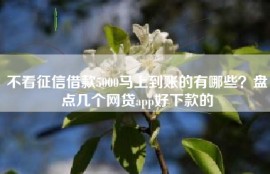 不看征信借款5000马上到账的有哪些？盘点几个网贷app好下款的