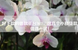 好下款的借款平台2022，这几个小额贷款值得一试！