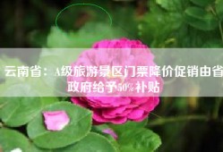 云南省：A级旅游景区门票降价促销由省政府给予50%补贴