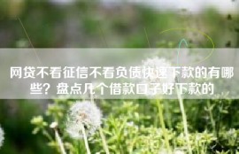网贷不看征信不看负债快速下款的有哪些？盘点几个借款口子好下款的