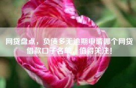 网贷盘点，负债多无逾期申请哪个网贷借款口子名单，值得关注！