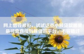 网上借钱被拒，试试这些小额贷款哪里最可靠直接到账借款平台，不容错过