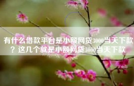 有什么借款平台是小额网贷3000当天下款？这几个就是小额网贷3000当天下款