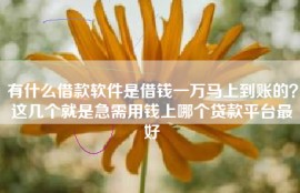 有什么借款软件是借钱一万马上到账的？这几个就是急需用钱上哪个贷款平台最好