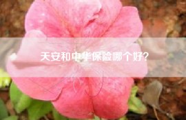 天安和中华保险哪个好？