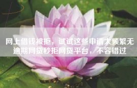 网上借钱被拒，试试这些申请太频繁无逾期网贷秒拒网贷平台，不容错过