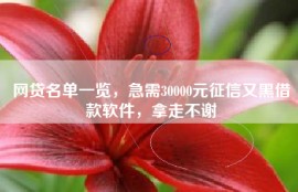 网贷名单一览，急需30000元征信又黑借款软件，拿走不谢