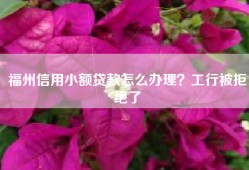 福州信用小额贷款怎么办理？工行被拒绝了
