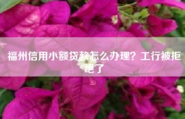 福州信用小额贷款怎么办理？工行被拒绝了