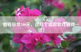 借钱应急500元，这几个借款软件值得一试！