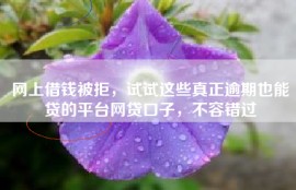 网上借钱被拒，试试这些真正逾期也能贷的平台网贷口子，不容错过