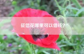 征信花哪里可以借钱？