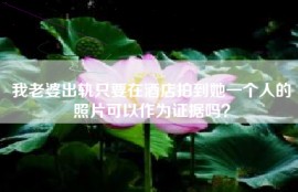 我老婆出轨只要在酒店拍到她一个人的照片可以作为证据吗？