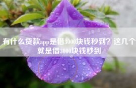 有什么贷款app是借3000块钱秒到？这几个就是借3000块钱秒到
