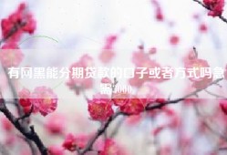 有网黑能分期贷款的口子或者方式吗急需3000