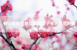 有网黑能分期贷款的口子或者方式吗急需3000