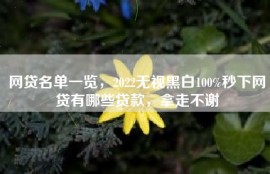 网贷名单一览，2022无视黑白100%秒下网贷有哪些贷款，拿走不谢