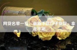 网贷名单一览，最新下款口子贷款，拿走不谢