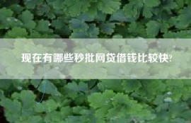 现在有哪些秒批网贷借钱比较快?