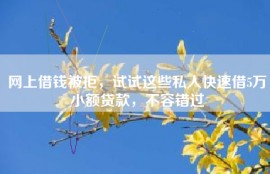 网上借钱被拒，试试这些私人快速借5万小额贷款，不容错过