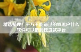 精选整理！千万不能错过的双黑户什么软件可以借到钱贷款平台