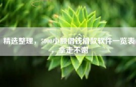 精选整理，5000小额借钱借款软件一览表，拿走不谢