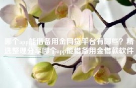 哪个app能借备用金网贷平台有哪些？精选整理分享哪个app能借备用金借款软件