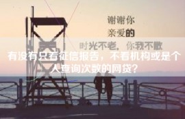 有没有只看征信报告，不看机构或是个人查询次数的网贷？