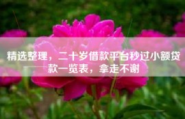 精选整理，二十岁借款平台秒过小额贷款一览表，拿走不谢