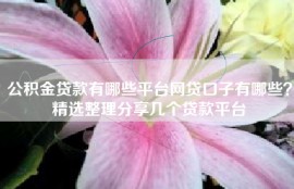 公积金贷款有哪些平台网贷口子有哪些？精选整理分享几个贷款平台
