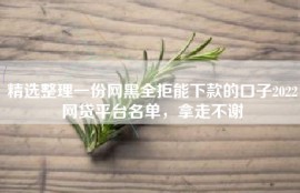 精选整理一份网黑全拒能下款的口子2022网贷平台名单，拿走不谢