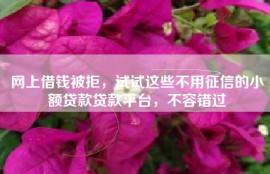 网上借钱被拒，试试这些不用征信的小额贷款贷款平台，不容错过