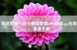 精选整理一份小额贷款借1000网贷app名单，拿走不谢
