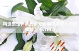 精选整理！负债多无逾期申请哪个网贷贷款，不容错过