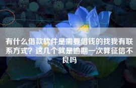 有什么借款软件是需要借钱的找我有联系方式？这几个就是逾期一次算征信不良吗