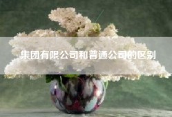 集团有限公司和普通公司的区别