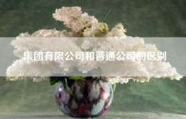 集团有限公司和普通公司的区别