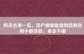 网贷名单一览，花户哪里能借到钱啊急用小额贷款，拿走不谢