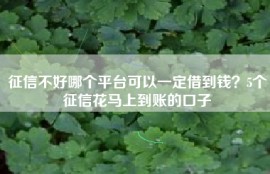 征信不好哪个平台可以一定借到钱？5个征信花马上到账的口子