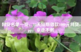 网贷名单一览，14天短期借款1000元网贷app，拿走不谢